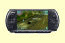 PSP